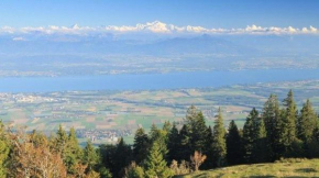 30C Route d'Arzier